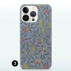 Photo 5: design 3, a fruit pattern on a blue-grey phone case